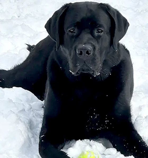 profile pic for Turi Aarnes