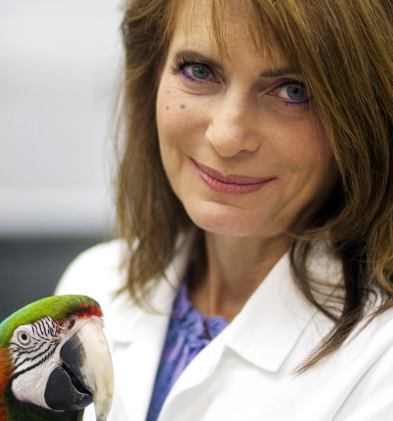 Barbara Oglesbee, DVM