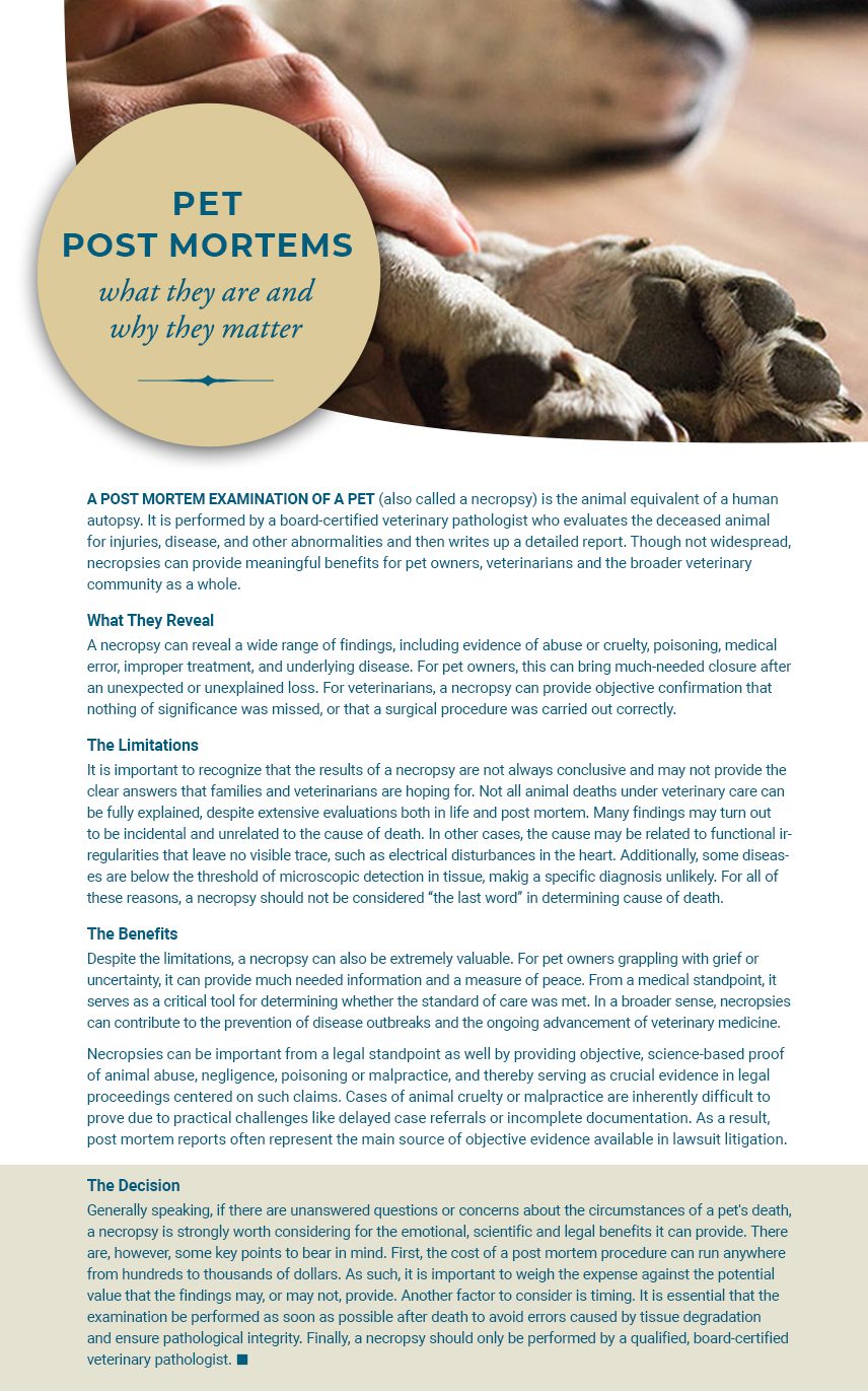 Pet Post Mortems